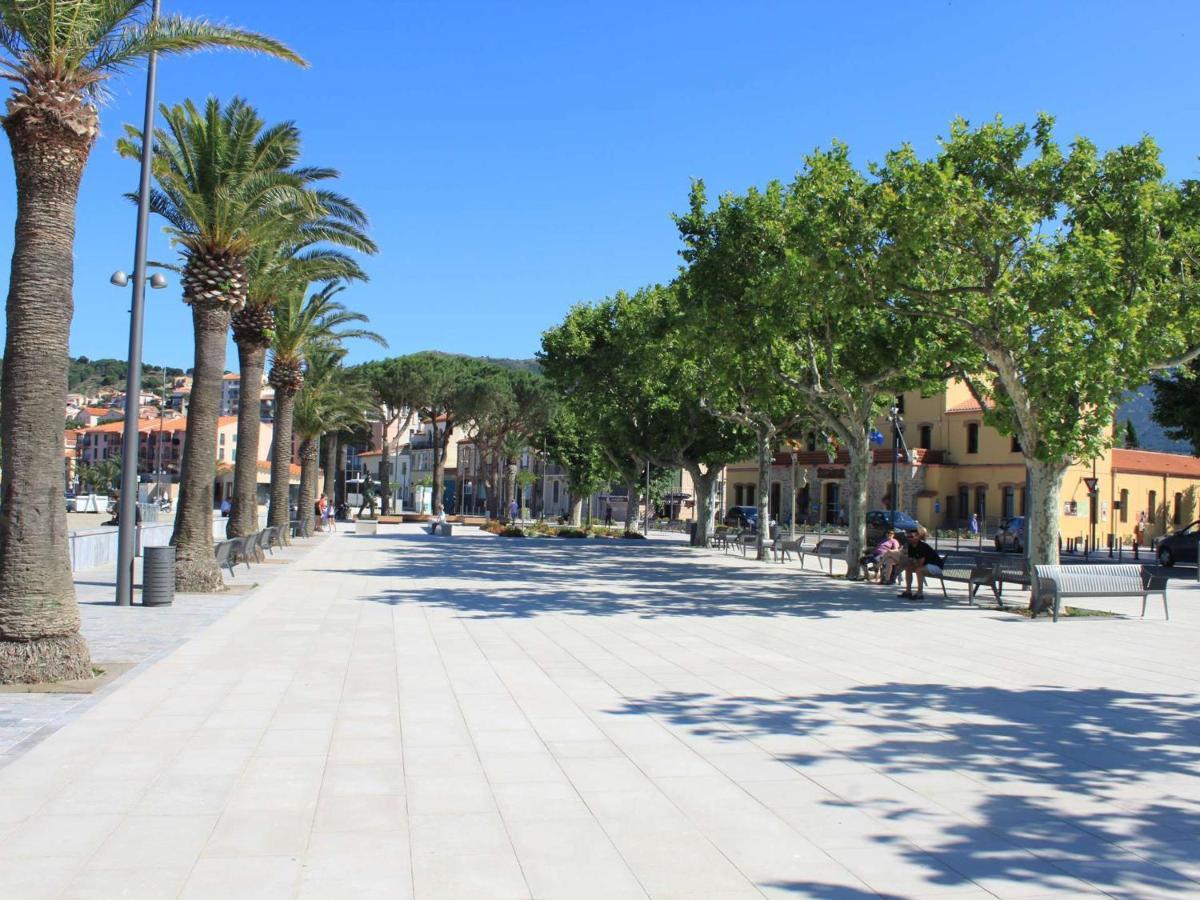 Appart T1 A 250M Plage, Clim, Wifi, Parking, Centre Banyuls - Fr-1-225C-75 Экстерьер фото